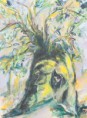 /album/baume/baum-4-von-17-jpg/